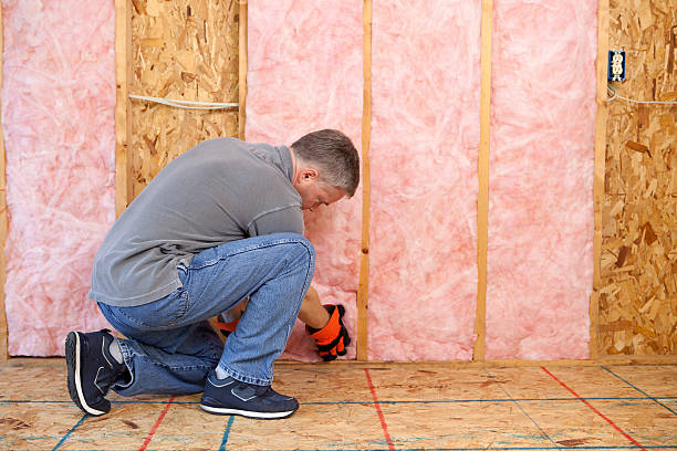 Best Insulation Maintenance and Repair in Madison Park, NJ